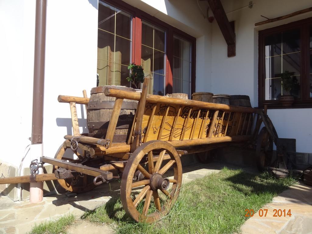 Alpenhof Pansion Otel Slavske Dış mekan fotoğraf